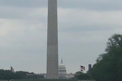 79