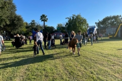 fall-fest8